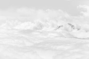 _MG_0887-Edit
